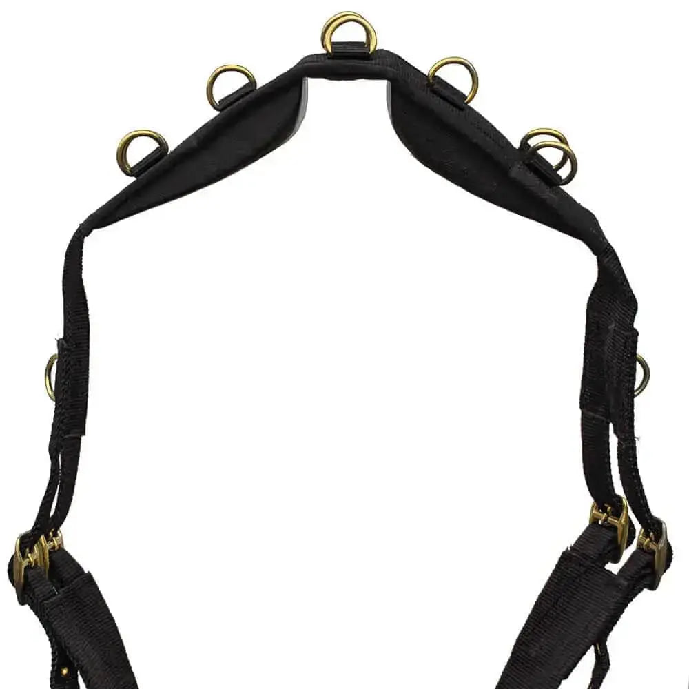 Black leather horse harness with brass rings and buckles to attach lunging aids on windsor nylon lunging roller