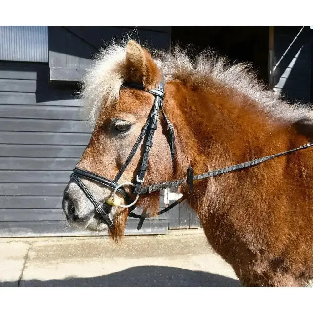 Windsor Small Pony Flash Bridle (inc Reins) Black Mini Shetland Flash Bridles
