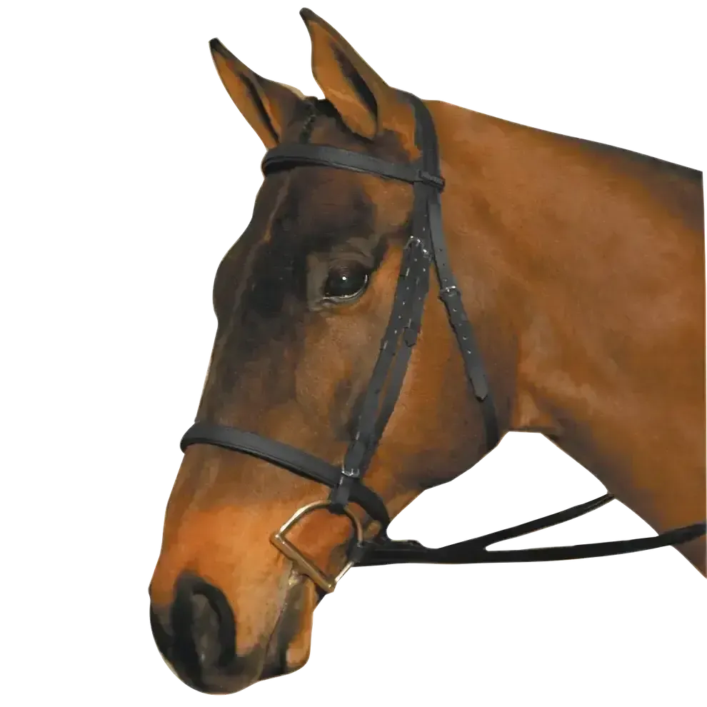 Wintec Bridle Black Pony Bridles
