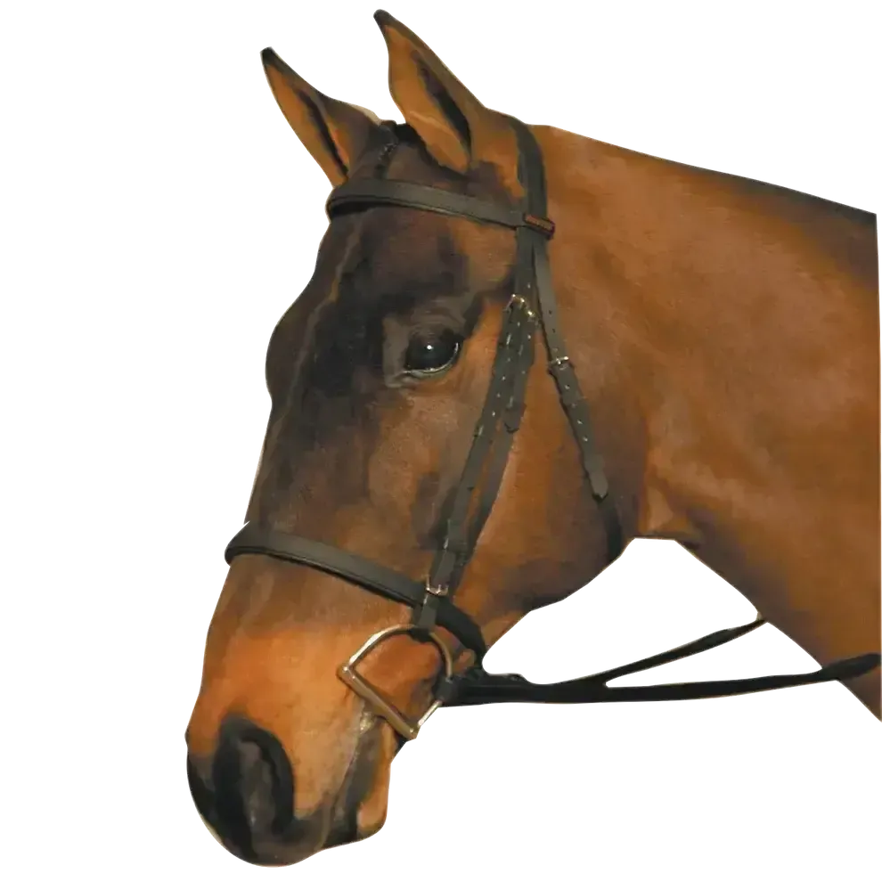Wintec Bridle Brown Pony Bridles