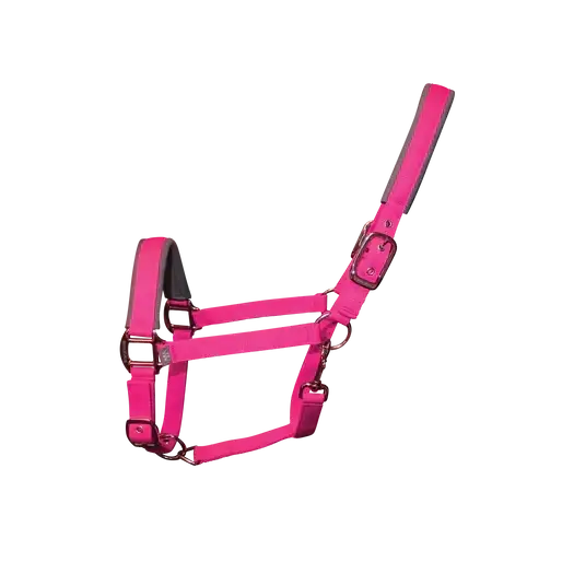 Woof Wear Contour Head Collar Berry Pony Headcollars