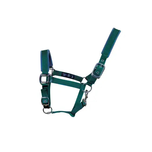 Green nylon woof wear contour head collar with silver metal hardware designed for key pressure points comfort