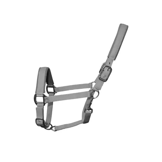 White leather woof wear contour head collar with silver buckles designed for key pressure points and long-lasting performance neoprene