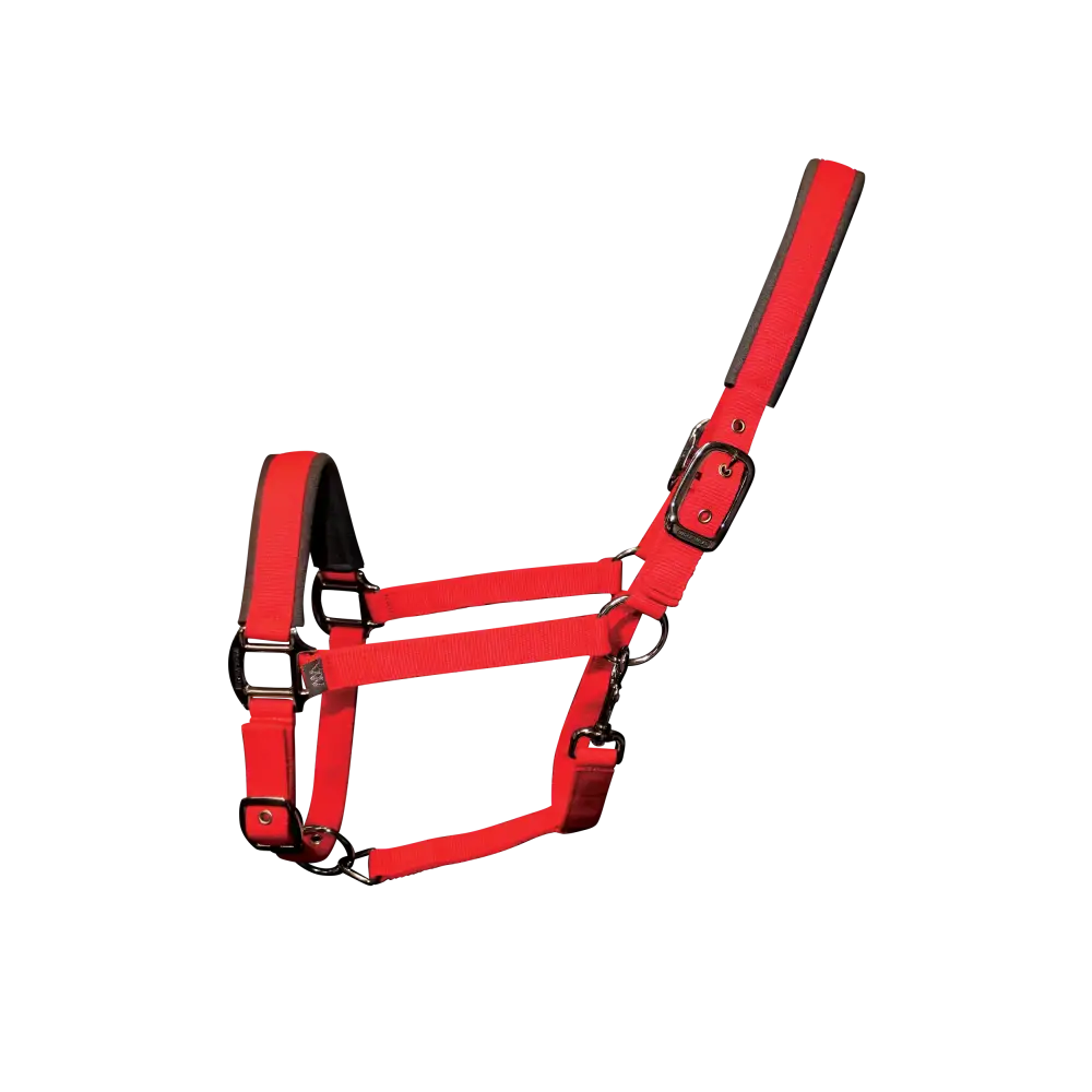 Woof Wear Contour Head Collar Royal Red Pony Headcollars