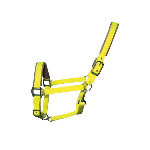 Woof Wear Contour Head Collar Sunshine Yellow Pony Headcollars
