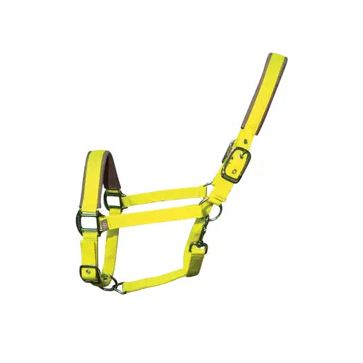 Bright yellow woof wear contour head collar with padded browband and metal buckles for key pressure points and long-lasting performance neoprene