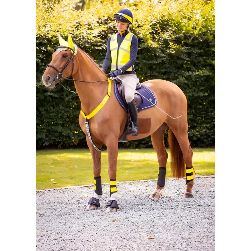 A brown horse wearing a woof wear vis riding vest with zipped pockets and matching yellow hoof boots and black leg wraps