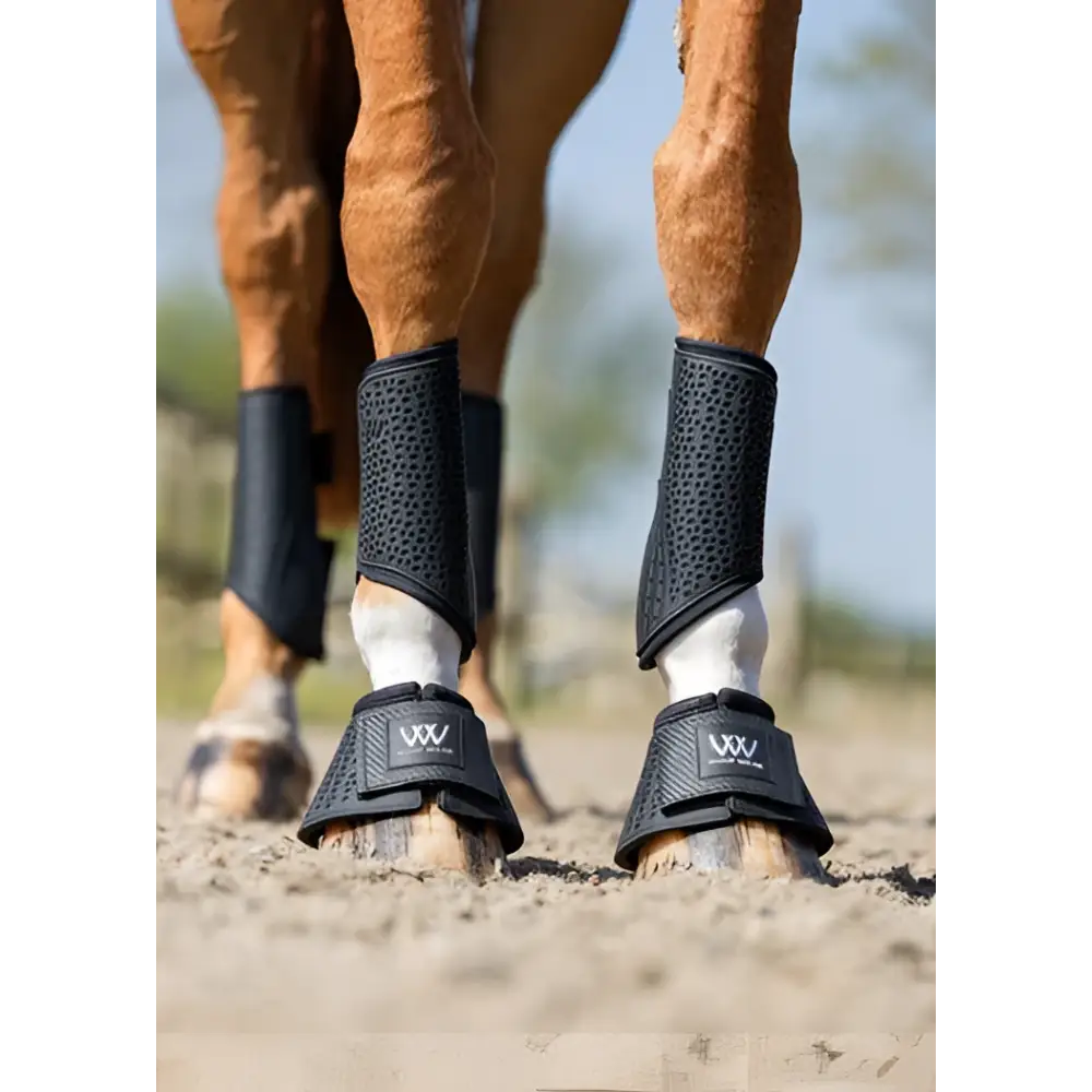 Black perforated woof wear ivent hybrid boot with breathable mesh and branded logo for horse leg protection