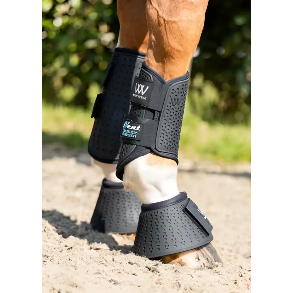 Black perforated woof wear ivent hybrid boot with breathable mesh and adjustable straps for horse leg protection