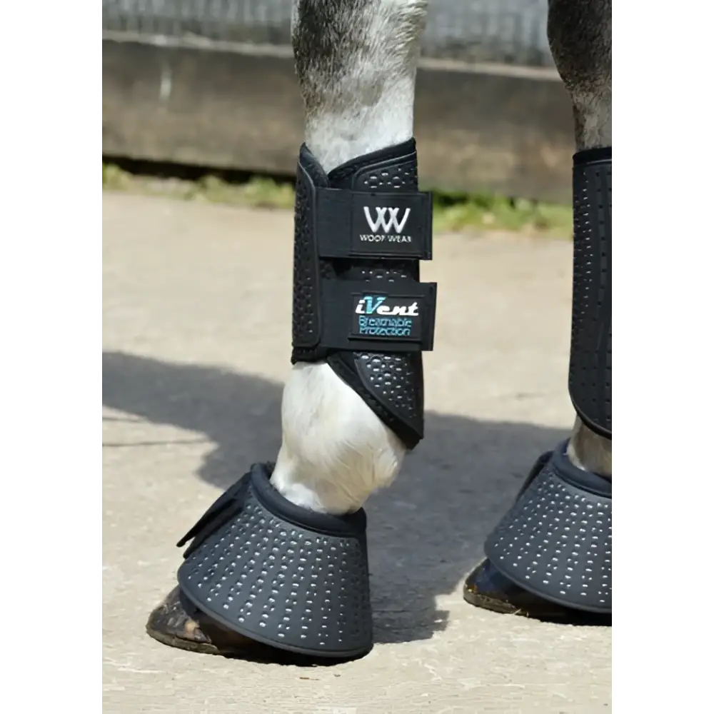 Black woof wear ivent overreach boot with perforated design for breathable strike zone protection on horse legs