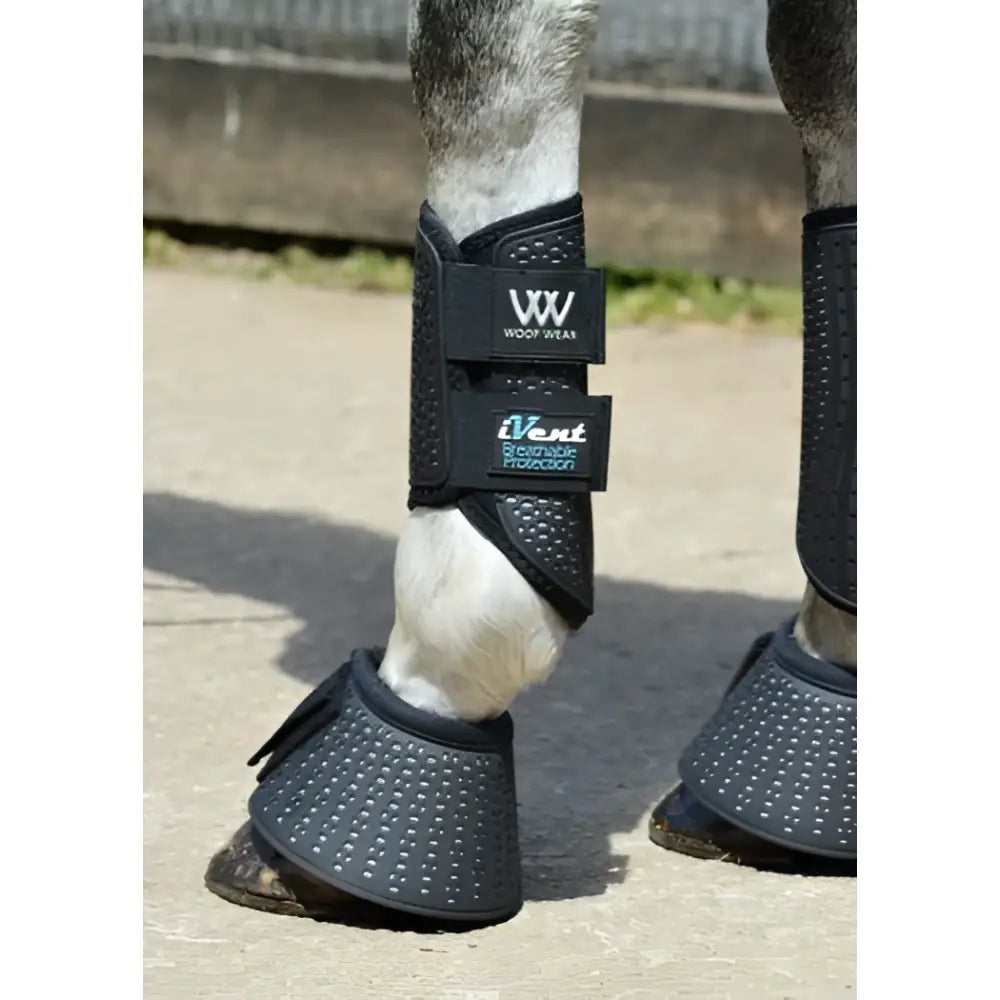 Black woof wear ivent overreach boot with perforated breathable strike zone design for horse leg protection