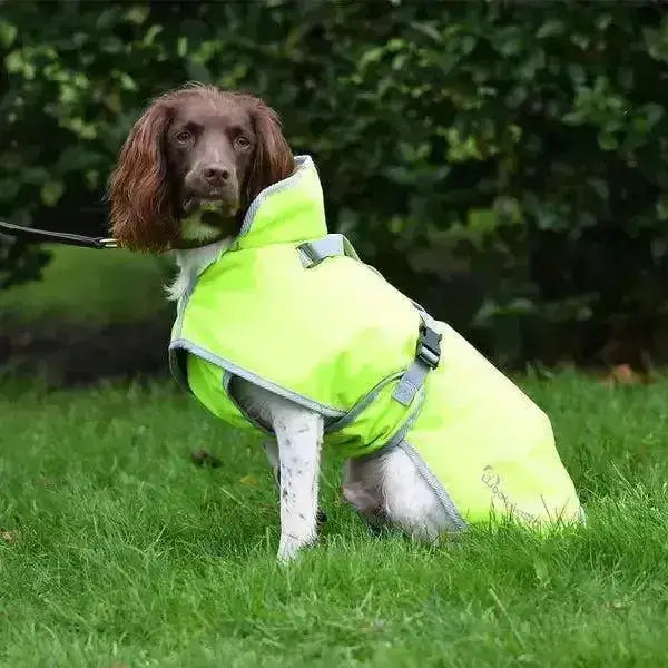 Bright neon green woofmasta dog coat deluxe with gray trim adjustable straps and durable denier outer fabric