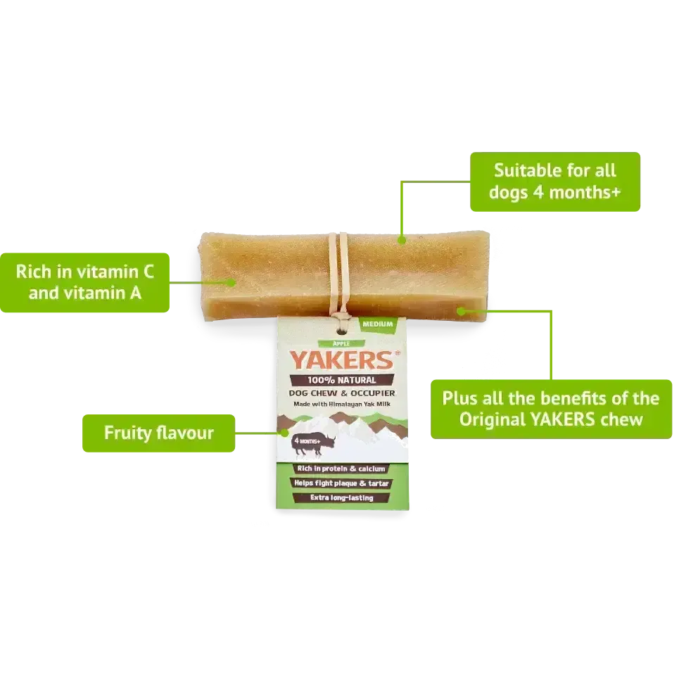 Yakers Dog Chew Apple Medium Medium Dog Treats