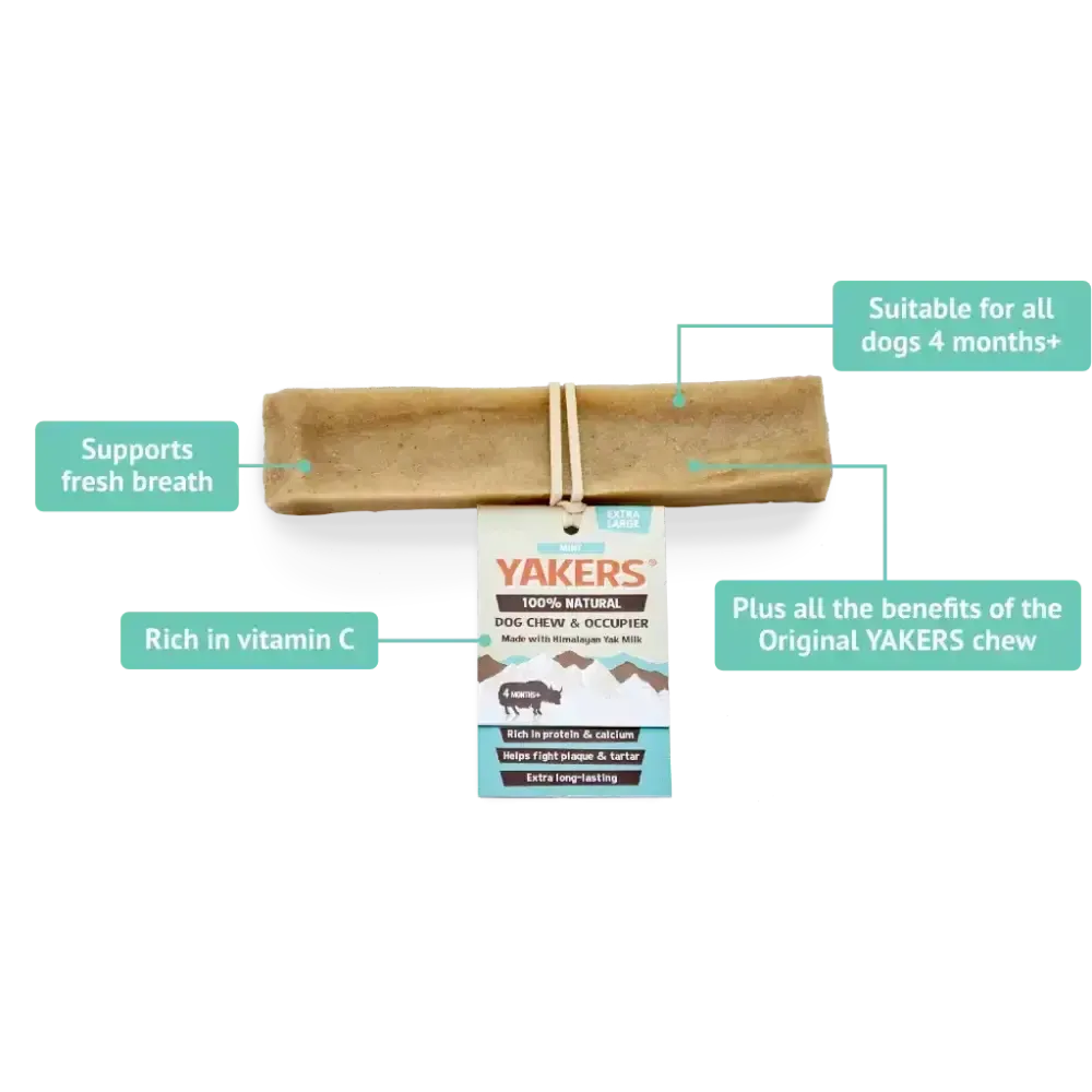 Yakers Dog Chew Mint Medium Dog Treats