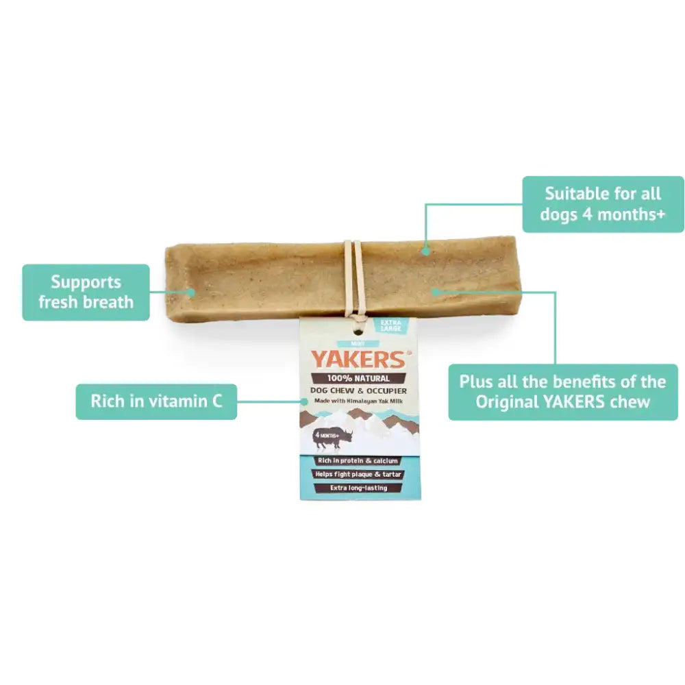Tan rectangular yakers dog chew made from 100 percent natural ingredients in award-winning mint flavour dog chew mint