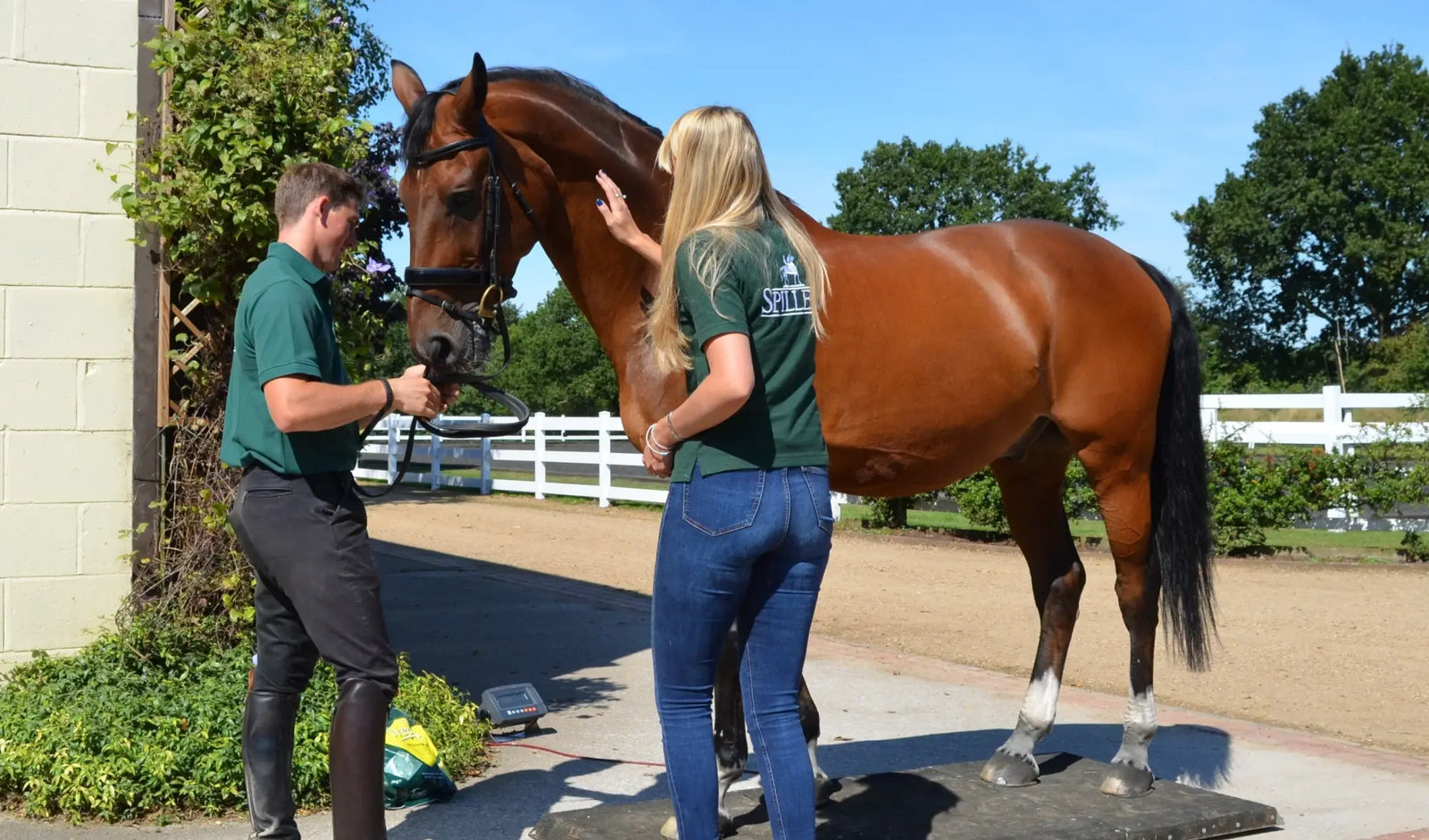 £30 of Spillers Feed Vouchers With A Spillers Yard Visit-Barnstaple Equestrian Supplies