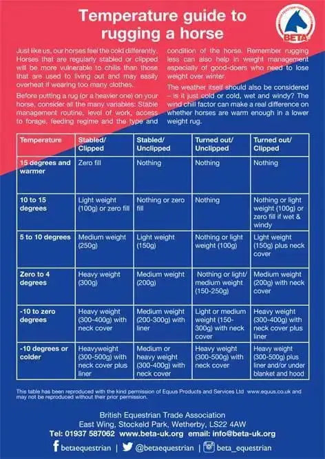 BETA Guide On Rugging Your Horse-Barnstaple Equestrian Supplies