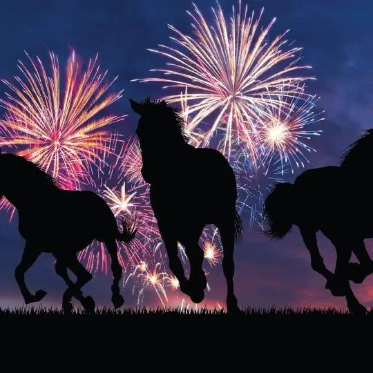 Bonfire Night With Horses Barnstaple Equestrian