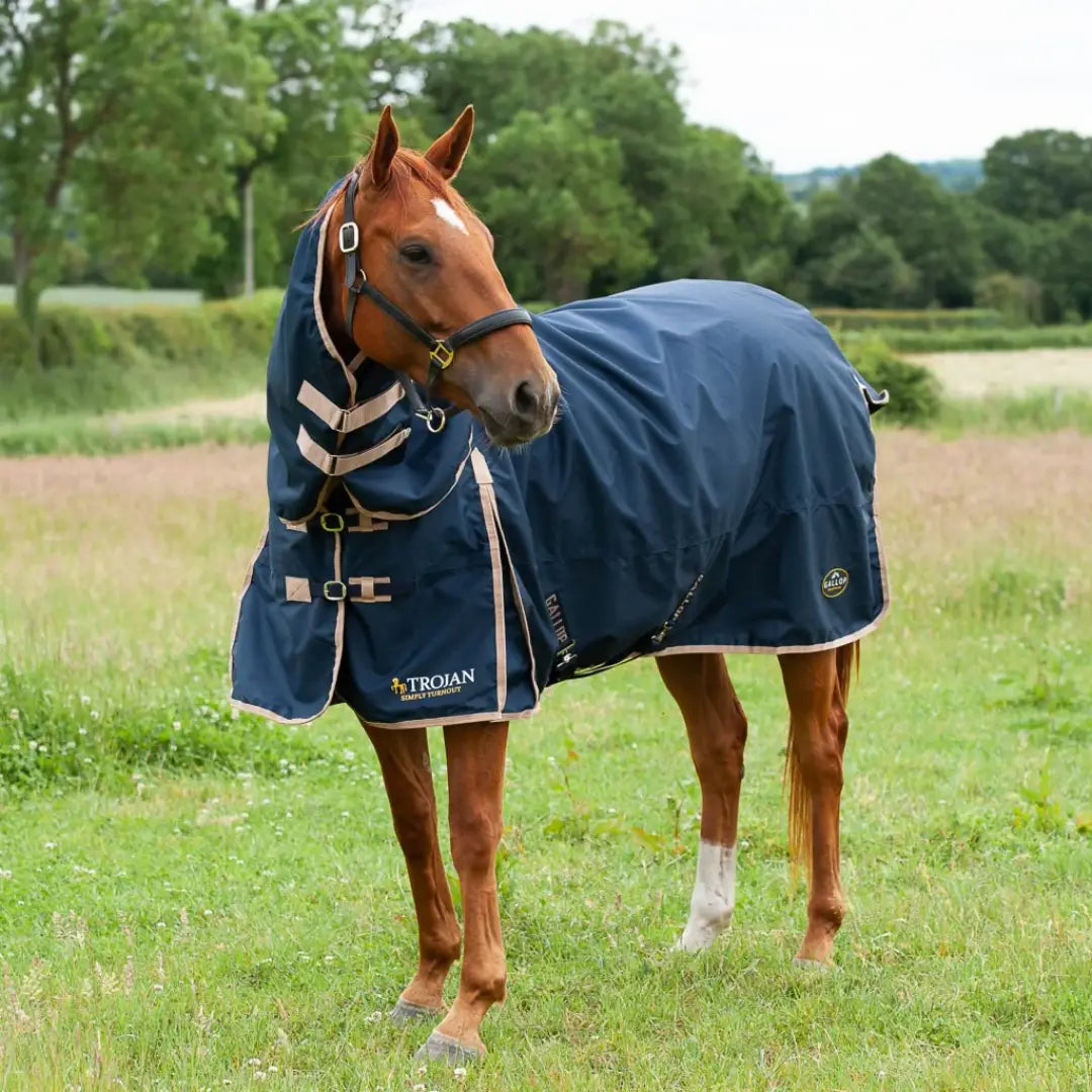 Gallop 50g Turnout Rug