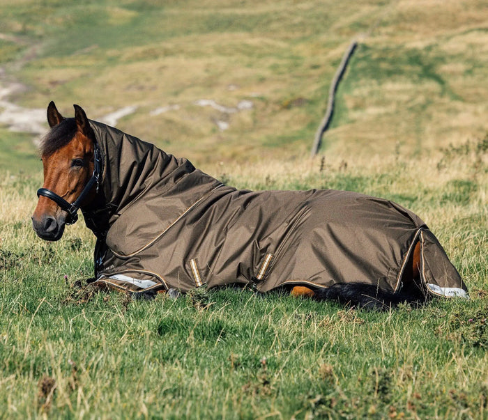 Choosing The Correct Rug