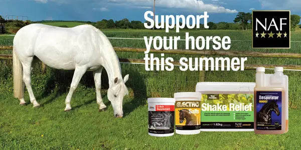 Heaves Respiratory Condition In Horses