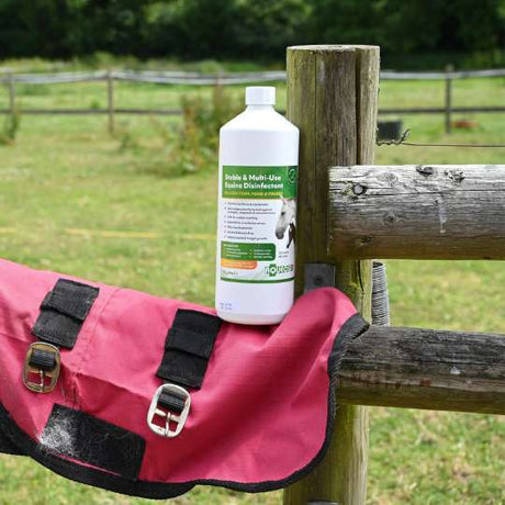 Introducing Clipping To Your Horse Or Pony with Aqueos-Barnstaple Equestrian Supplies