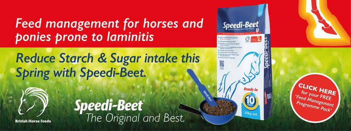 Managing Laminitis-Barnstaple Equestrian Supplies