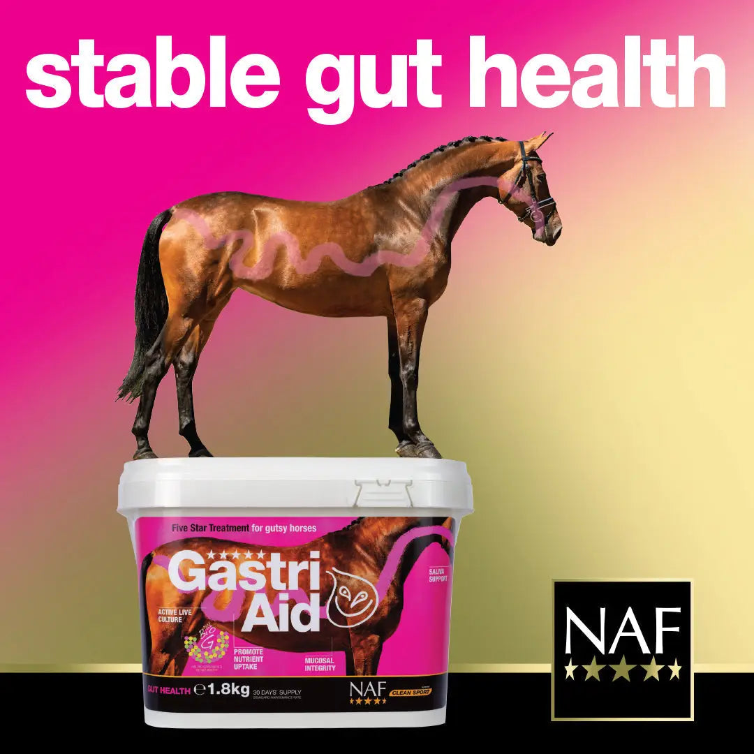 NAF GasttiAid Barnstaple Equestrian