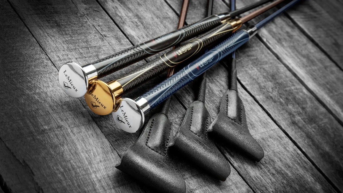 Rules On Whips Whilst Competing