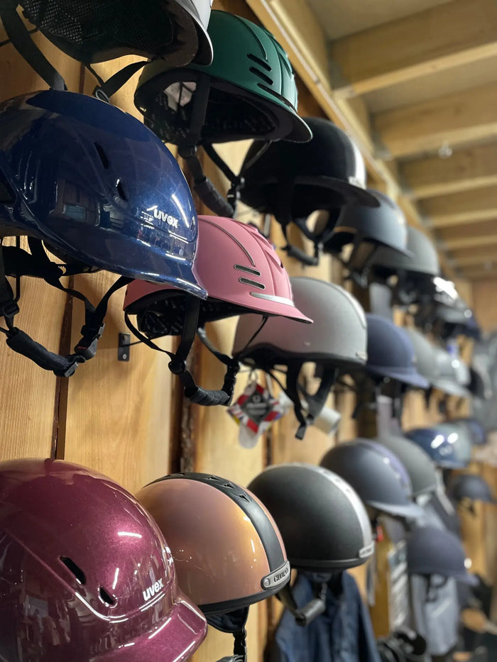 Horse Riding Standards 2025 and What They Mean