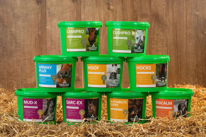 Global Herbs For Horss