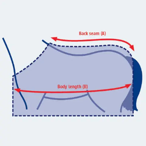 What Is The Right Rug Size For Your Horse-Barnstaple Equestrian Supplies