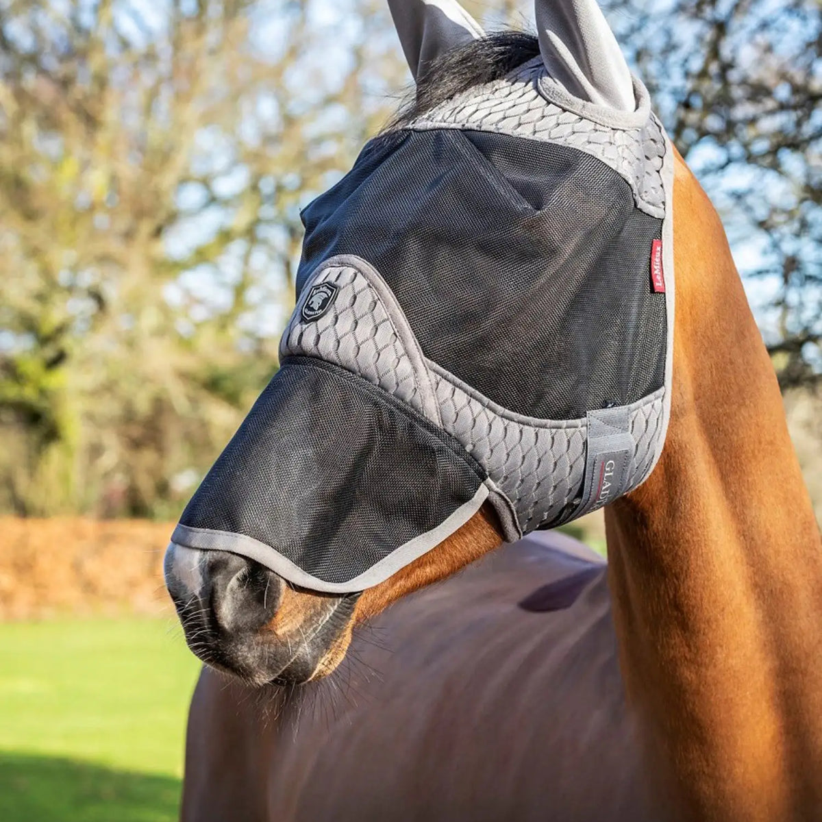 When To Use Fly Masks For Horses And Fitting Guide