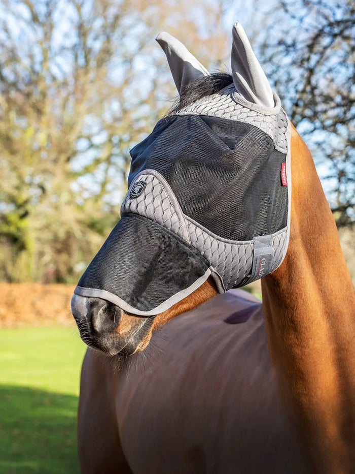 When To Use Fly Masks For My Horse