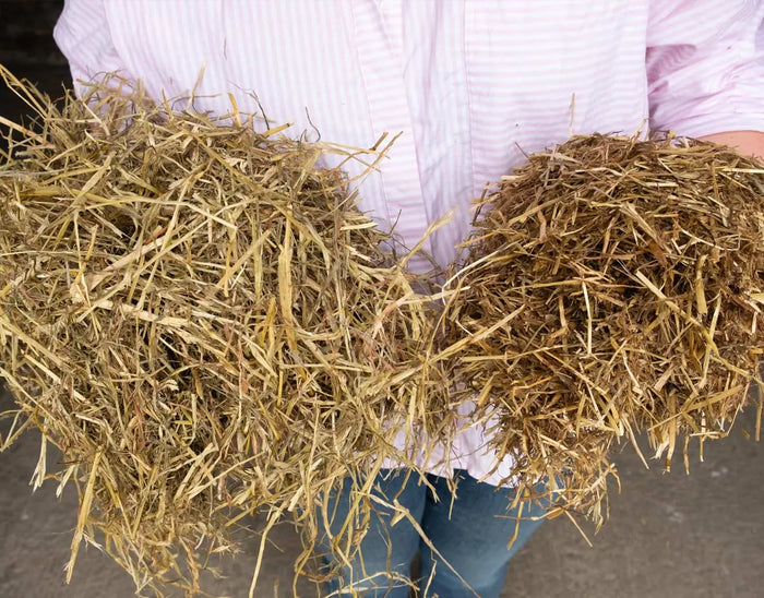 Haylage-Barnstaple Equestrian Supplies