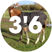 3'6 Turnout Rugs For Horses