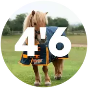 4'6 Turnout Rugs For Horses