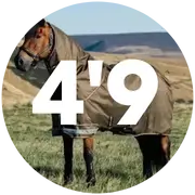 4'9 Turnout Rugs For Horses