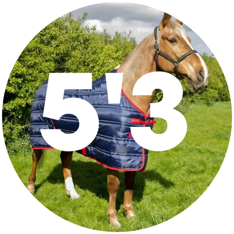5'3 Stable Rugs