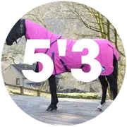 5'3 Turnout Rugs For Horses
