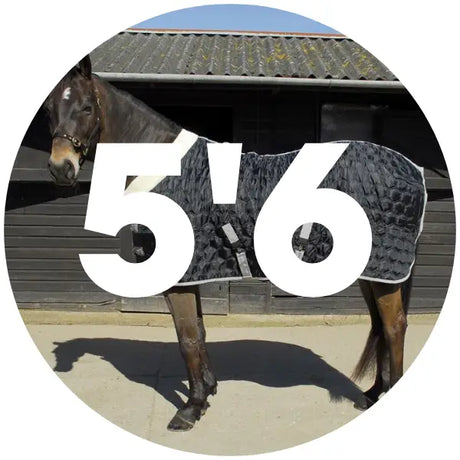 5’6 Stable Rugs