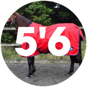 5'6 Turnout Rugs For Horses