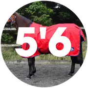 5'6 Turnout Rugs For Horses