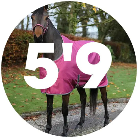 5'9 Stable Rugs For Horses