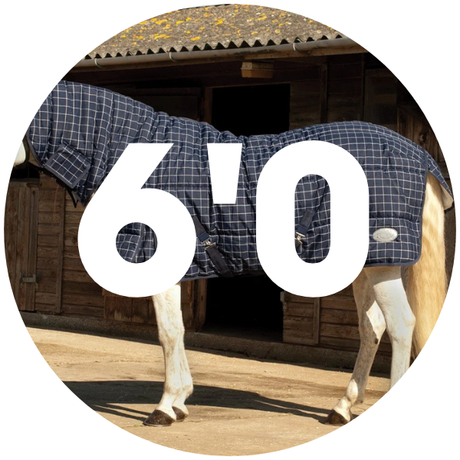 6'0 Stable Rugs