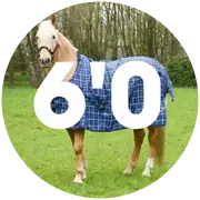 6'0 Turnout Rugs For Horses