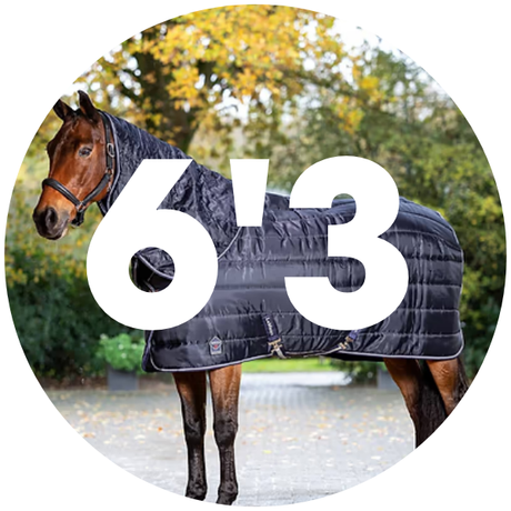 6'3 Stable Rugs
