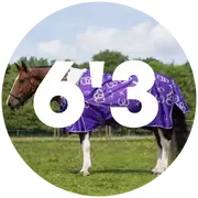 6'3 Turnout Rugs For Horses