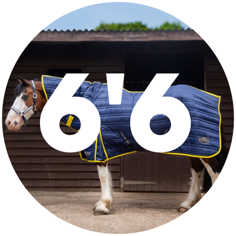 6'6 Stable Rugs