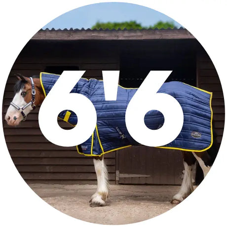 6’6 Stable Rugs